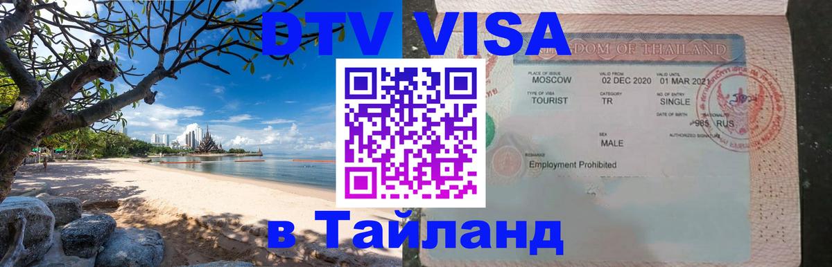 Оформление DTV визы под ключ: стоимость и тарифы, только загранпаспорт - 